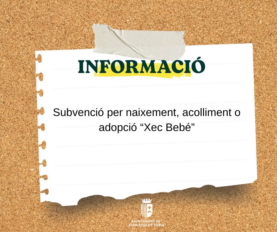 ACCIÓN SOCIAL