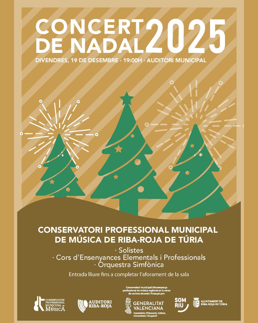 Concierto de Nadal Conservatorio Professional Municipal de Música de Riba-roja de Túria