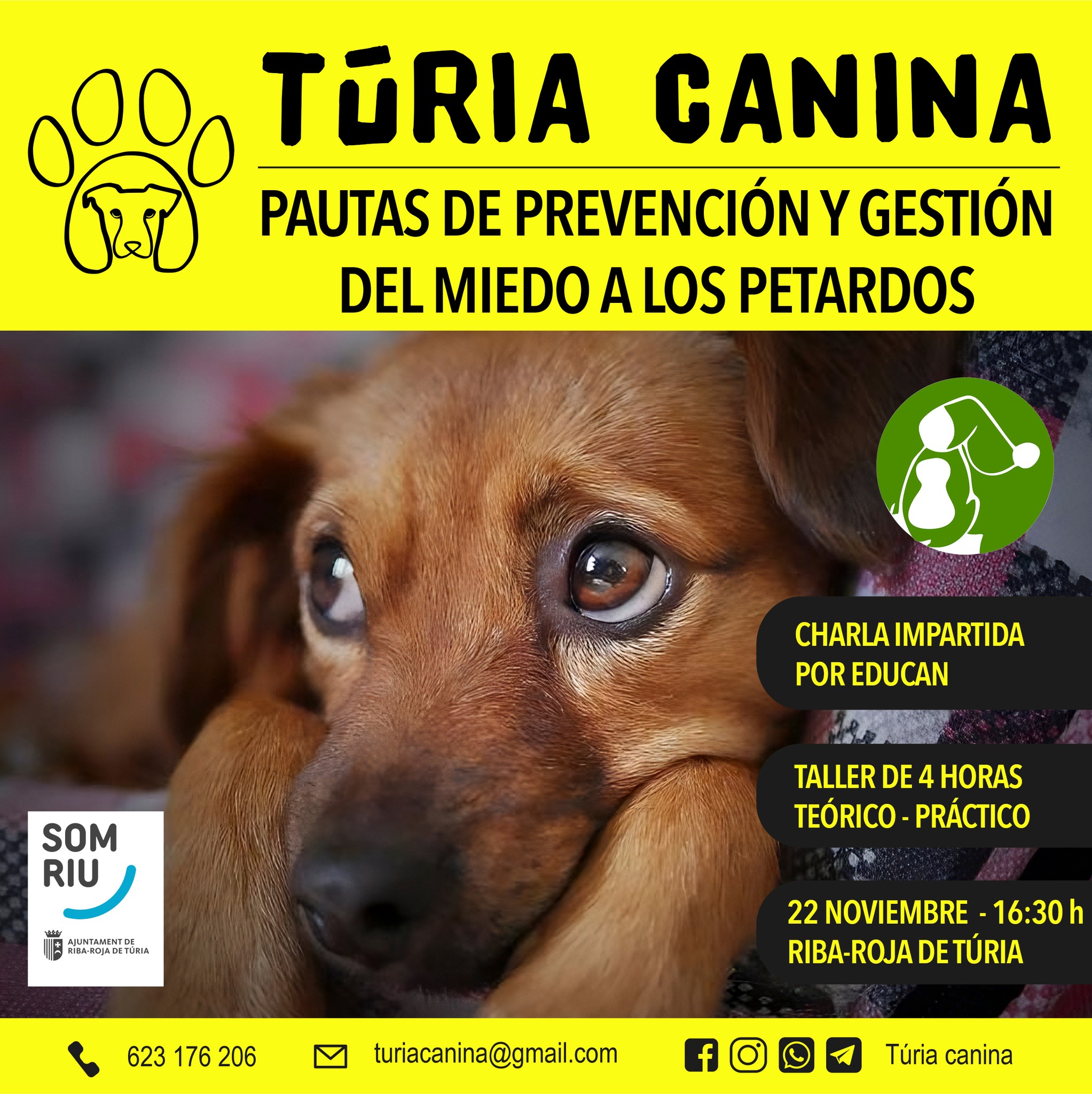 ASOCIACIÓN TURIA CANINA. Pautas de prevención y gestión del miedo a los petardos