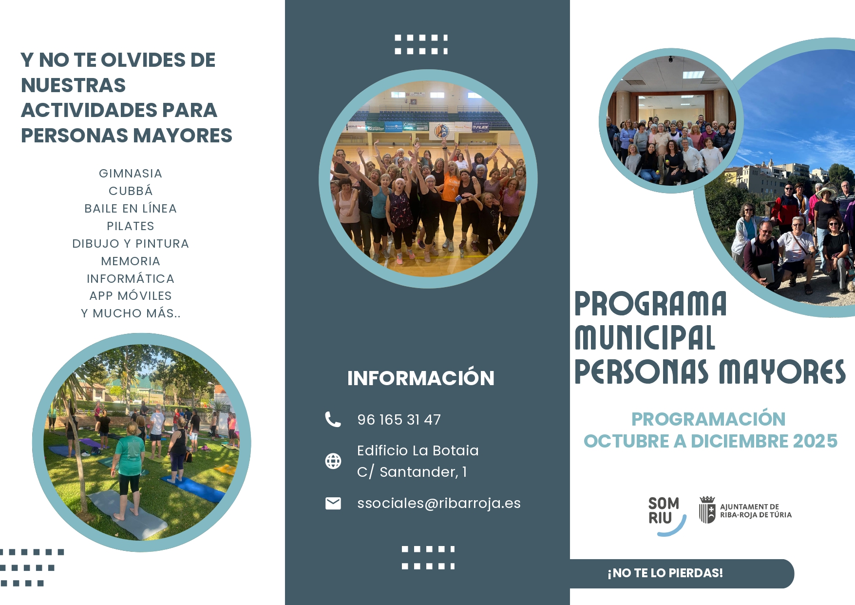 Programa Municipal de Majors