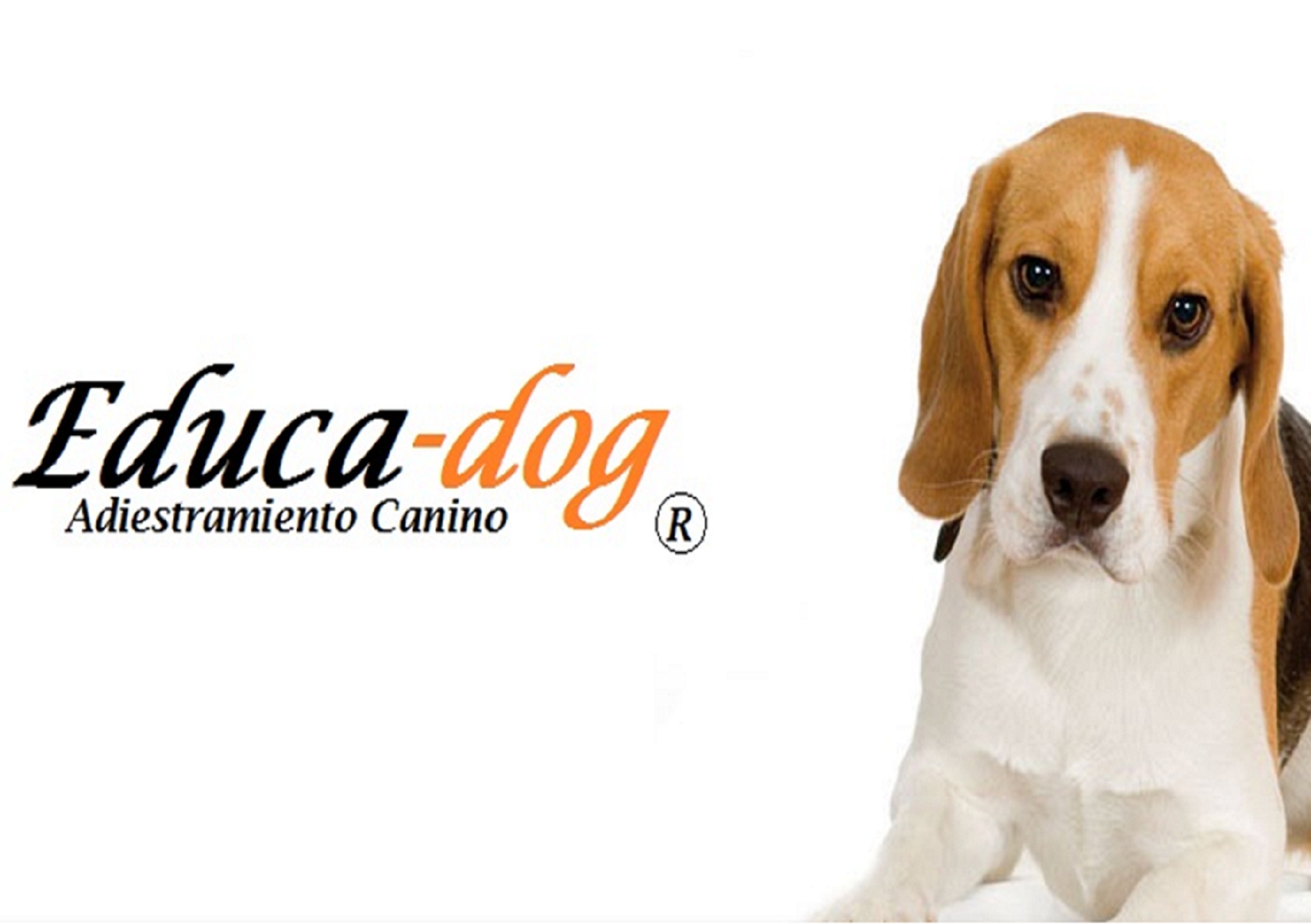 EDUCA-DOG