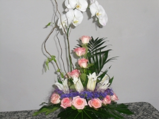 FLORS EUGENCIA